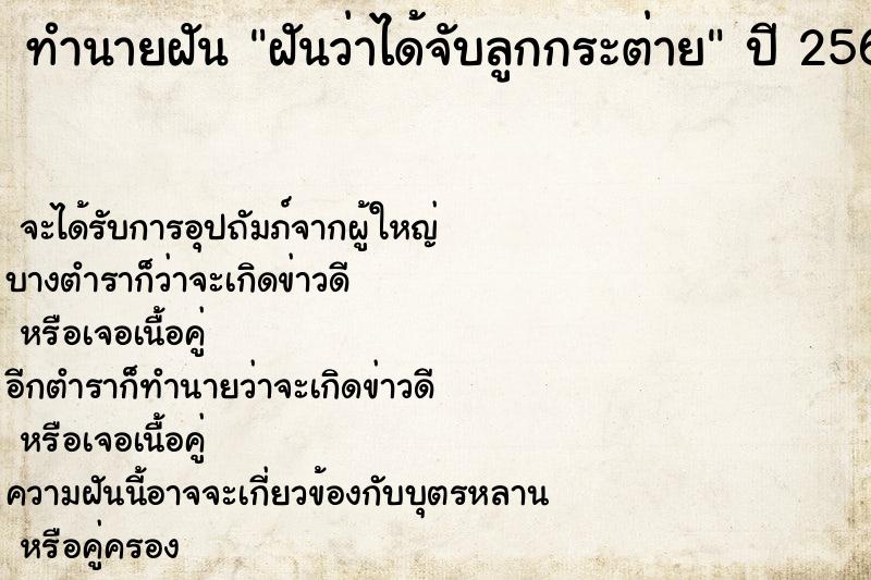 ทำนายฝัน ฝันว่าได้จับลูกกระต่าย ทำนายฝัน ฝันว่าได้จับลูกกระต่าย