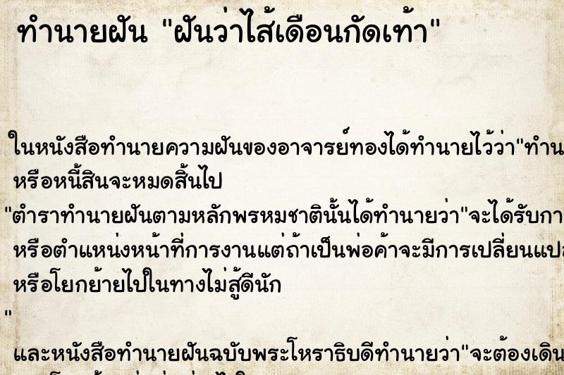 ทำนายฝันฝันว่าไส้เดือนกัดเท้า ทำนายฝันทำนายฝันฝันว่าไส้เดือนกัดเท้า
