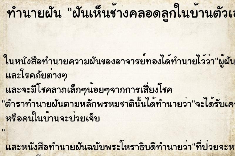 ทำนายฝันทำนายฝันฝันเห็นช้างคลอดลูกในบ้านตัวเอง