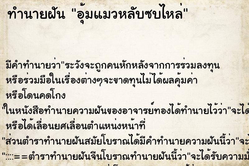 ทำนายฝันทำนายฝันอุ้มแมวหลับซบไหล่