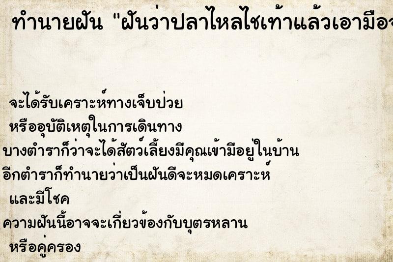 ทำนายฝันฝันว่าปลาไหลไชเท้าแล้วเอามือจับปลาไหลออก ทำนายฝันทำนายฝันฝันว่าปลาไหลไชเท้าแล้วเอามือจับปลาไหลออก