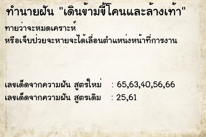 ทำนายฝันทำนายฝันเดินข้ามขี้โคนและล้างเท้า