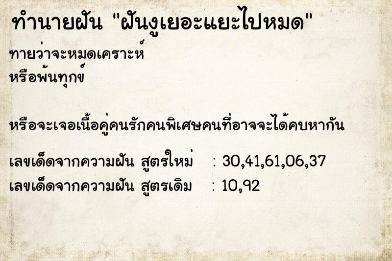 ทำนายฝัน ฝันงูเยอะแยะไปหมด ทำนายฝัน ฝันงูเยอะแยะไปหมด