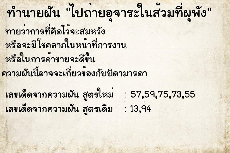 ทำนายฝันทำนายฝันไปถ่ายอุจาระในส้วมที่ผุพัง