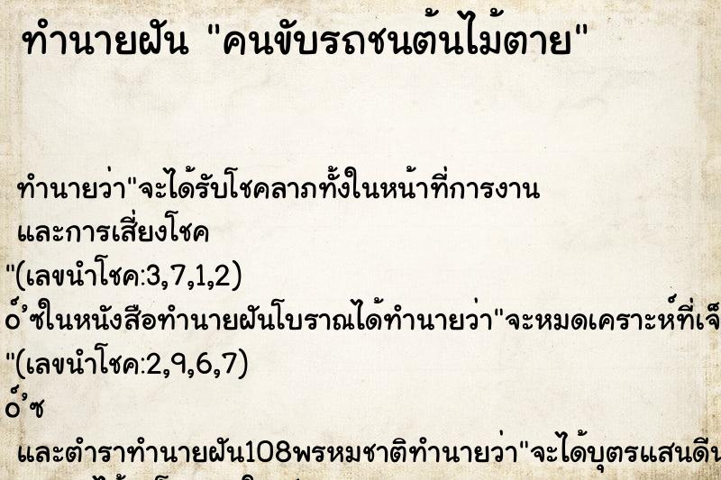 ทำนายฝัน คนขับรถชนต้นไม้ตาย