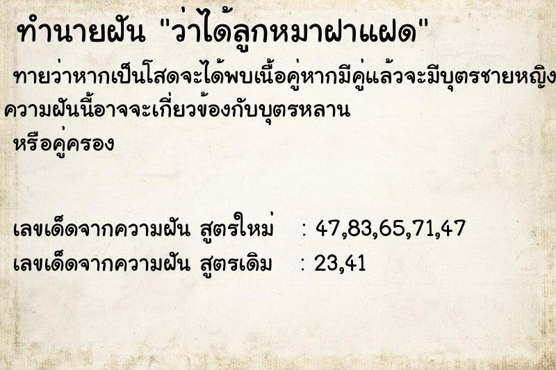 ทำนายฝันทำนายฝันว่าได้ลูกหมาฝาแฝด