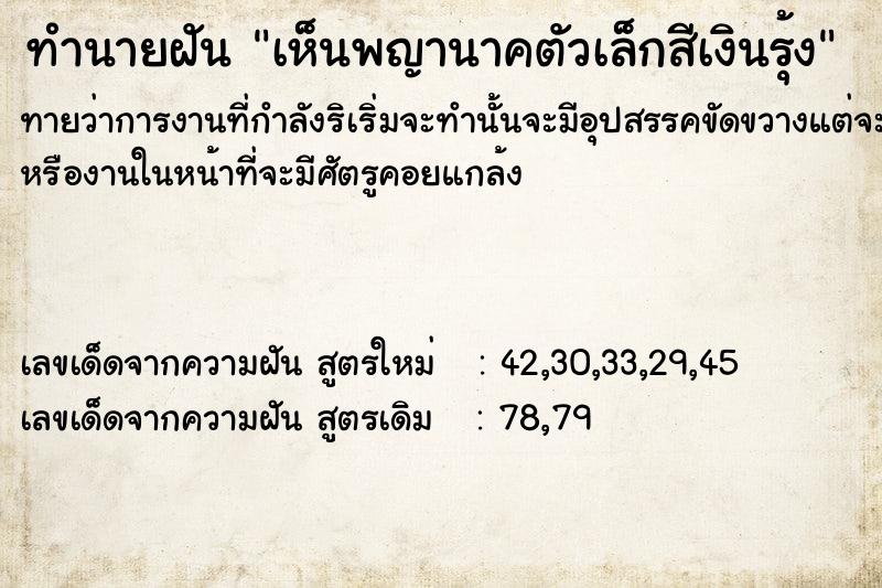 ทำนายฝันทำนายฝันเห็นพญานาคตัวเล็กสีเงินรุ้ง