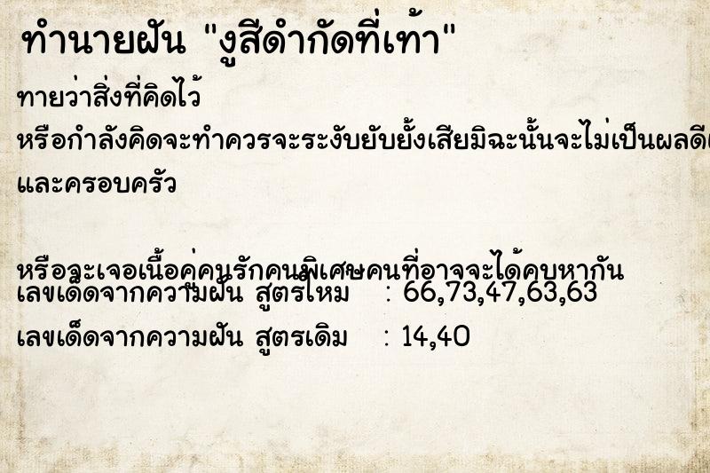 ทำนายฝันงูสีดำกัดที่เท้า ทำนายฝันทำนายฝันงูสีดำกัดที่เท้า