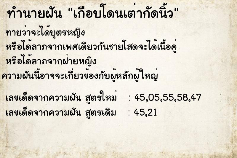 ทำนายฝันทำนายฝันเกือบโดนเต่ากัดนิ้ว
