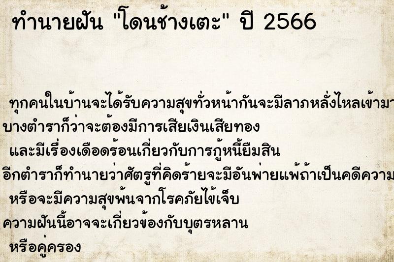 ทำนายฝันทำนายฝันโดนช้างเตะ