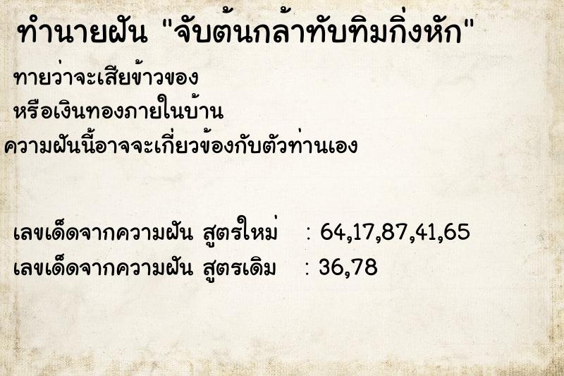 ทำนายฝันจับต้นกล้าทับทิมกิ่งหัก ทำนายฝันทำนายฝันจับต้นกล้าทับทิมกิ่งหัก