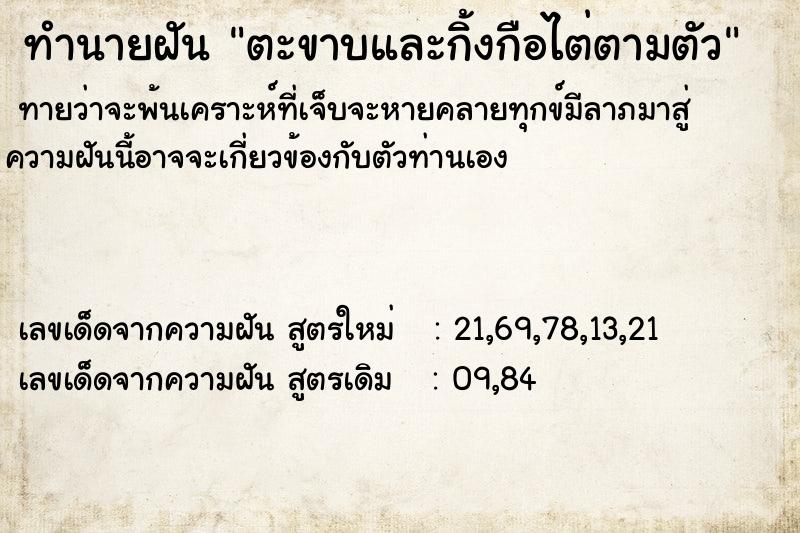 ทำนายฝัน ตะขาบและกิ้งกือไต่ตามตัว ทำนายฝัน ตะขาบและกิ้งกือไต่ตามตัว