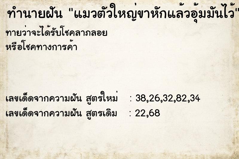ทำนายฝันทำนายฝันแมวตัวใหญ่ขาหักแล้วอุ้มมันไว้