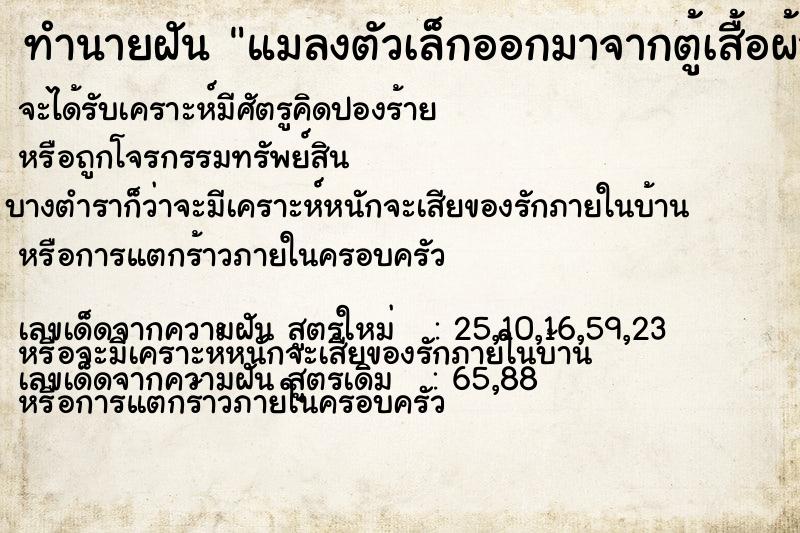 ทำนายฝันแมลงตัวเล็กออกมาจากตู้เสื้อผ้าเต็มไปหมด ทำนายฝันทำนายฝันแมลงตัวเล็กออกมาจากตู้เสื้อผ้าเต็มไปหมด