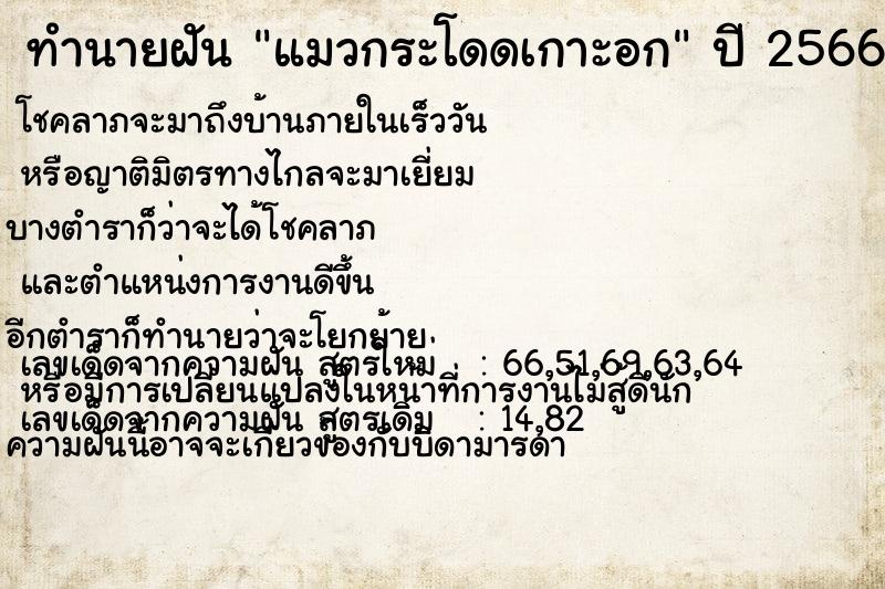 ทำนายฝัน แมวกระโดดเกาะอก