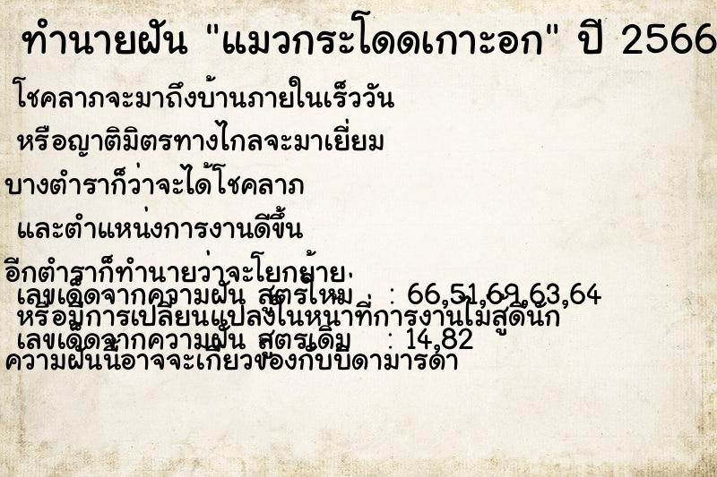 ทำนายฝัน แมวกระโดดเกาะอก ตำราโบราณ แม่นที่สุดในโลก