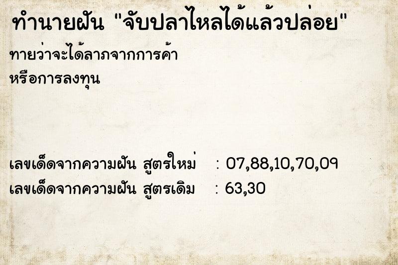 ทำนายฝันจับปลาไหลได้แล้วปล่อย ทำนายฝันทำนายฝันจับปลาไหลได้แล้วปล่อย