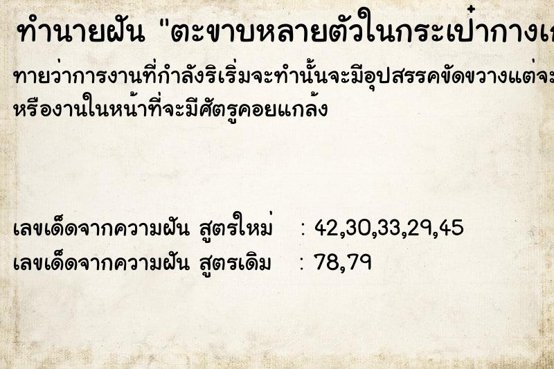 ทำนายฝันตะขาบหลายตัวในกระเป๋ากางเกง ทำนายฝันทำนายฝันตะขาบหลายตัวในกระเป๋ากางเกง