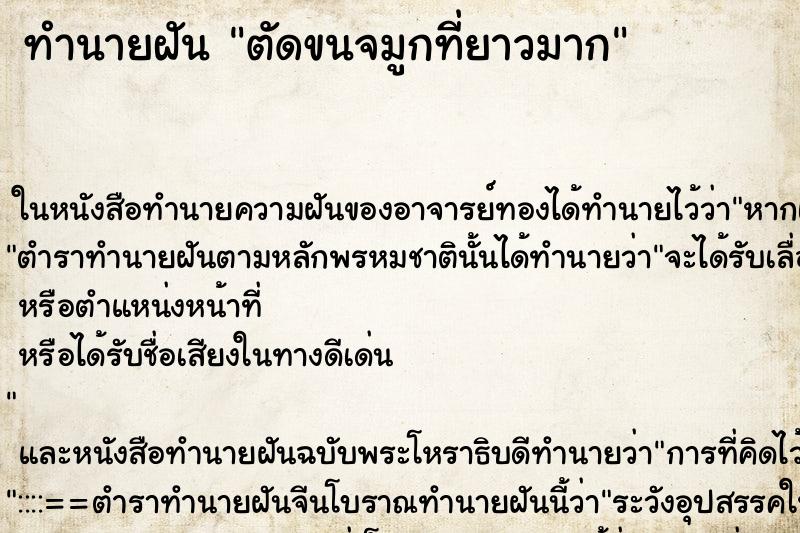 ทำนายฝัน ตัดขนจมูกที่ยาวมาก ทำนายฝัน ตัดขนจมูกที่ยาวมาก