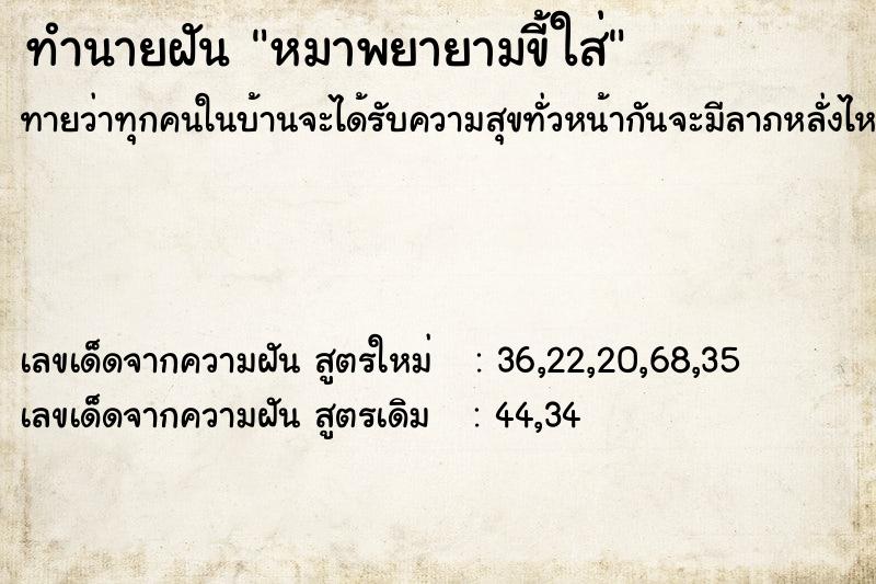 ทำนายฝัน หมาพยายามขี้ใส่ ทำนายฝัน หมาพยายามขี้ใส่