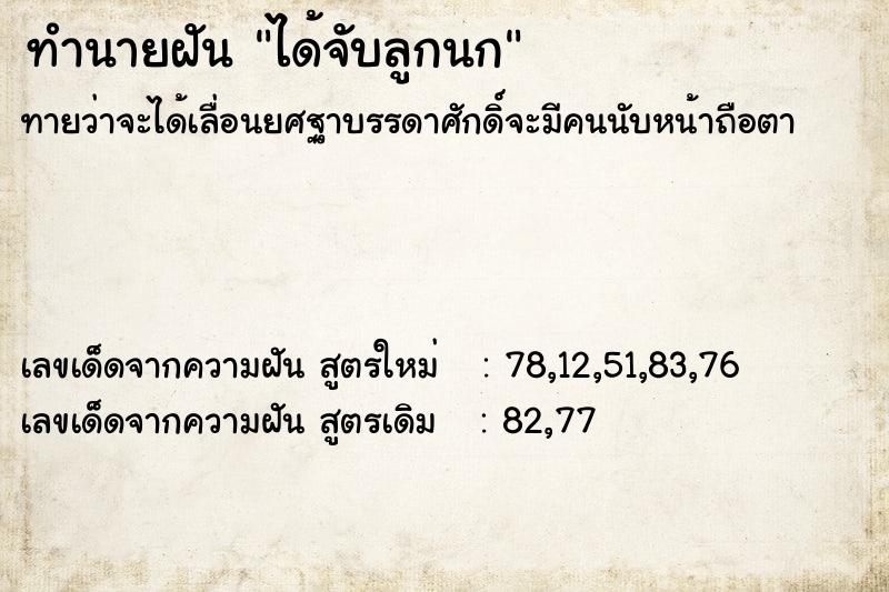 ทำนายฝันได้จับลูกนก ทำนายฝันทำนายฝันได้จับลูกนก