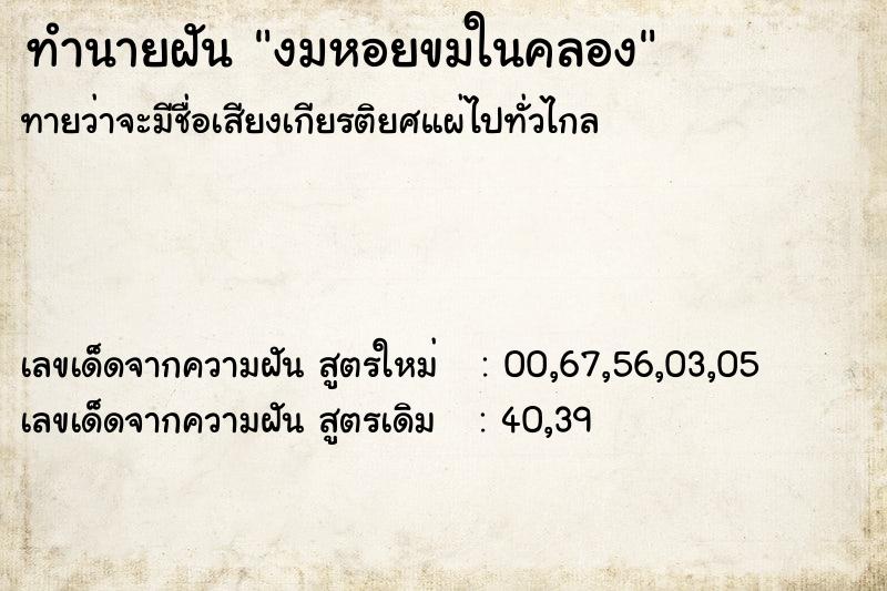ทำนายฝันทำนายฝันงมหอยขมในคลอง