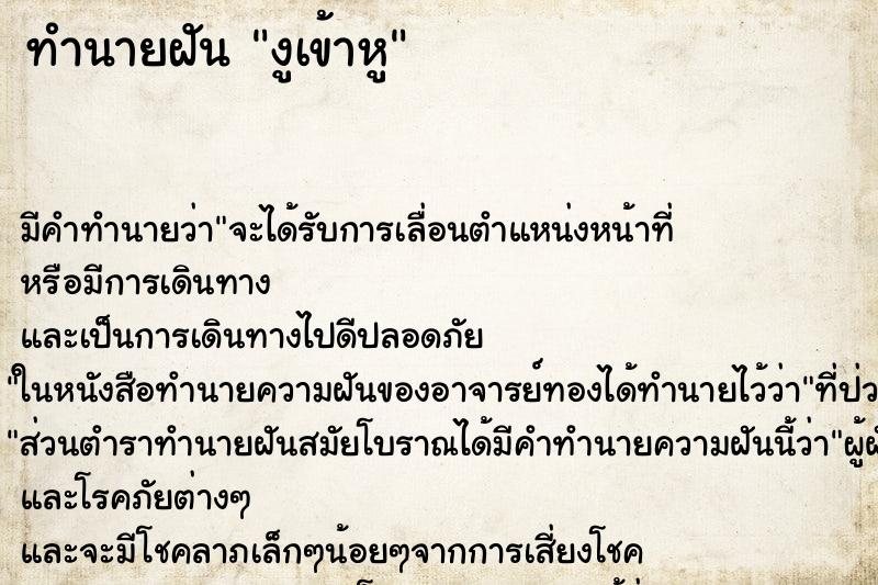 ทำนายฝัน งูเข้าหู ทำนายฝัน งูเข้าหู