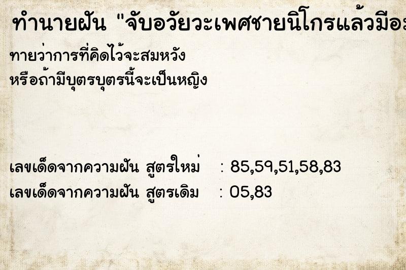 ทำนายฝันทำนายฝันจับอวัยวะเพศชายนิโกรแล้วมีอะไรกัน