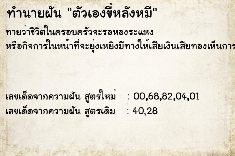 ทำนายฝันทำนายฝันตัวเองขี่หลังหมี