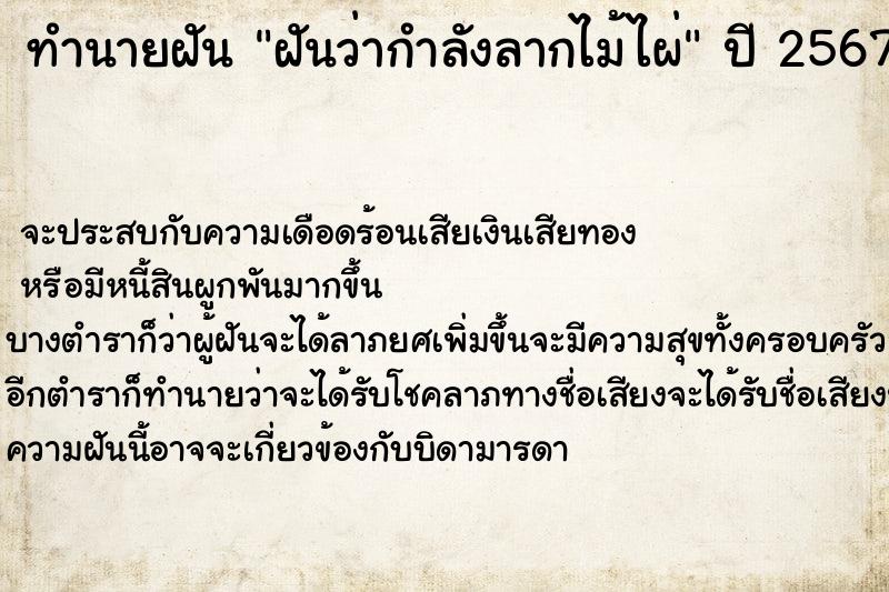 ทำนายฝันฝันว่ากำลังลากไม้ไผ่ ทำนายฝันทำนายฝันฝันว่ากำลังลากไม้ไผ่