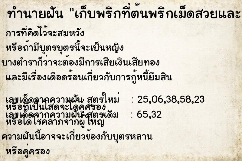 ทำนายฝันทำนายฝันเก็บพริกที่ต้นพริกเม็ดสวยและเยอะมาก