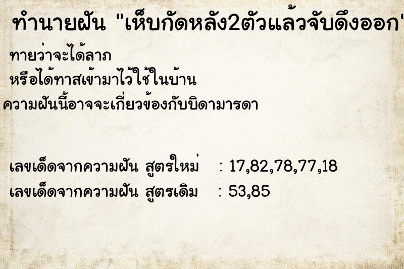 ทำนายฝันทำนายฝันเห็บกัดหลัง2ตัวแล้วจับดึงออก