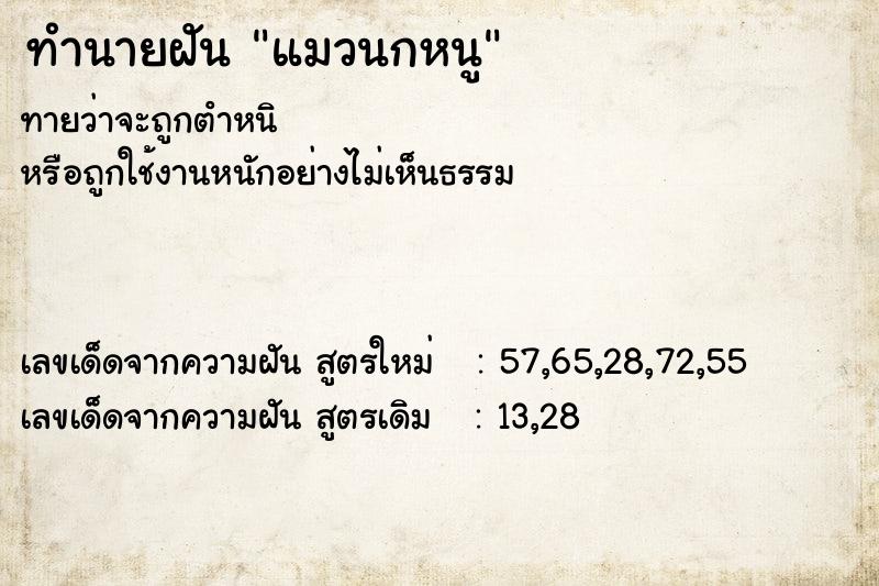 ทำนายฝันทำนายฝันแมวนกหนู