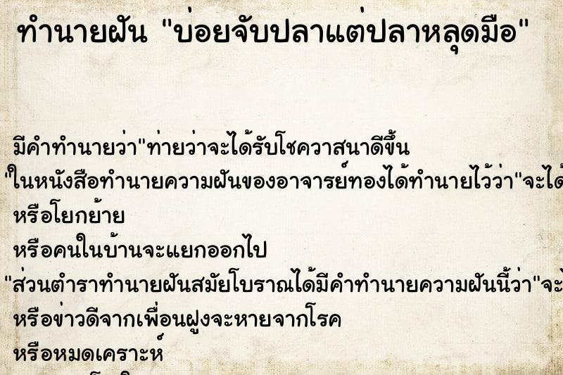ทำนายฝันทำนายฝันบ่อยจับปลาแต่ปลาหลุดมือ