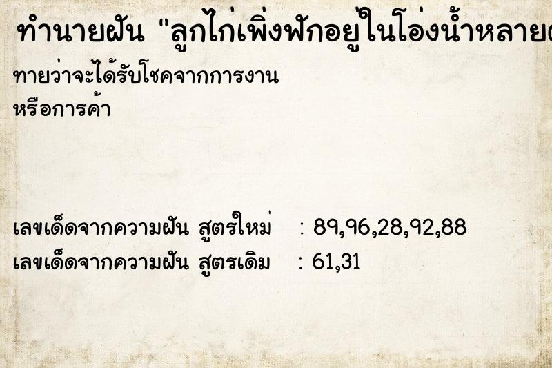 ทำนายฝันทำนายฝันลูกไก่เพิ่งฟักอยู่ในโอ่งน้ำหลายตัว