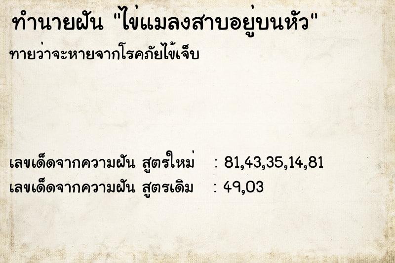 ทำนายฝัน ไข่แมลงสาบอยู่บนหัว ทำนายฝัน ไข่แมลงสาบอยู่บนหัว