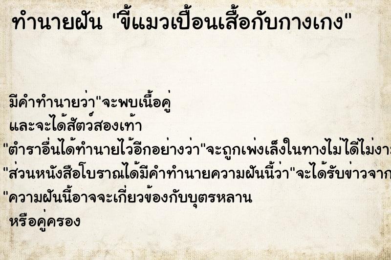 ทำนายฝัน ขี้แมวเปื้อนเสื้อกับกางเกง ทำนายฝัน ขี้แมวเปื้อนเสื้อกับกางเกง