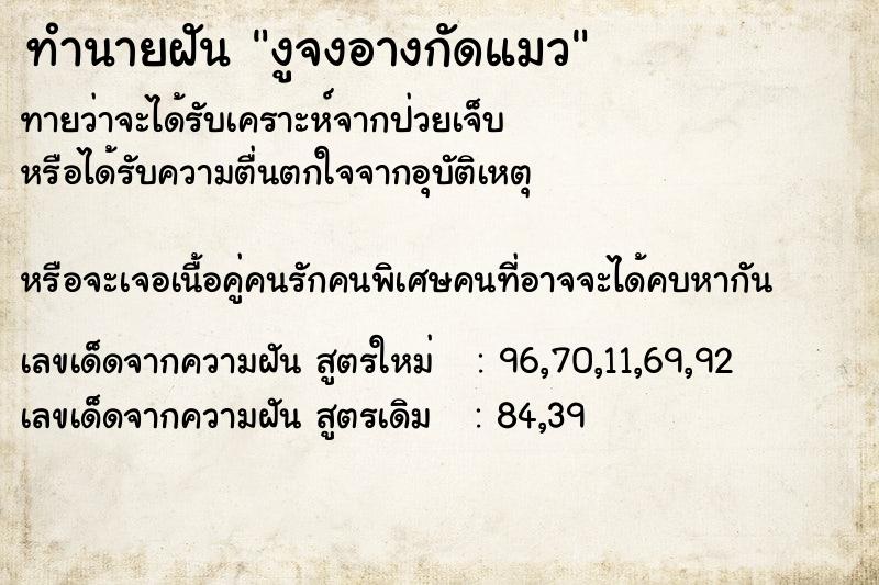 ทำนายฝันทำนายฝันงูจงอางกัดแมว