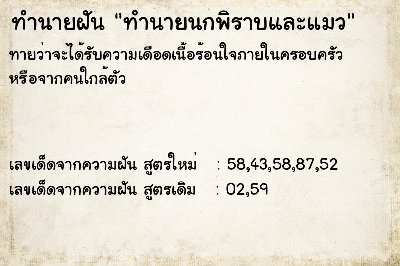 ทำนายฝันทำนายฝันทำนายนกพิราบและแมว