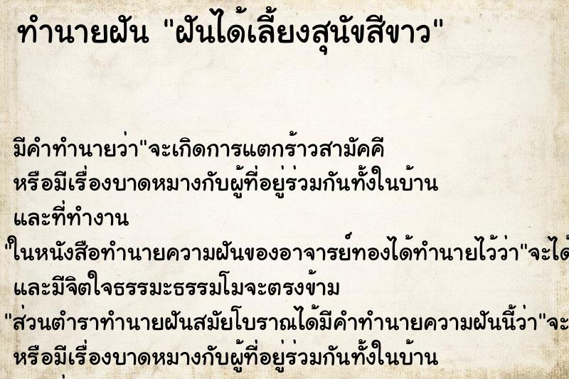 ทำนายฝัน ฝันได้เลี้ยงสุนัขสีขาว ทำนายฝัน ฝันได้เลี้ยงสุนัขสีขาว