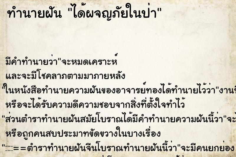 ทำนายฝัน ได้ผจญภัยในป่า ตำราโบราณ แม่นที่สุดในโลก