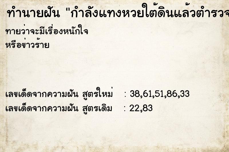 ทำนายฝันทำนายฝันกำลังแทงหวยใต้ดินแล้วตำรวจมา