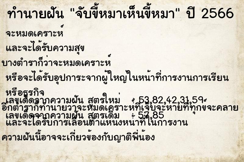 ทำนายฝัน จับขี้หมาเห็นขี้หมา ทำนายฝัน จับขี้หมาเห็นขี้หมา