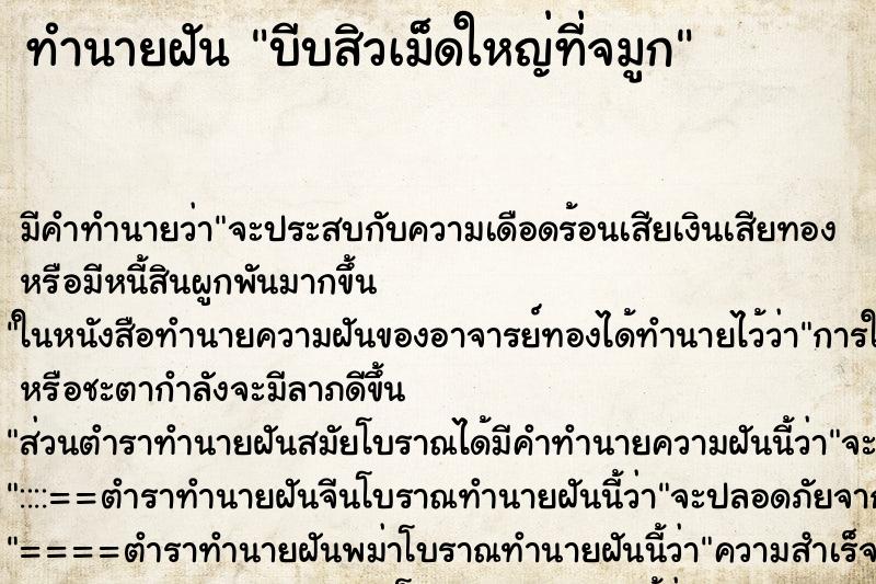ทำนายฝัน บีบสิวเม็ดใหญ่ที่จมูก ทำนายฝัน บีบสิวเม็ดใหญ่ที่จมูก