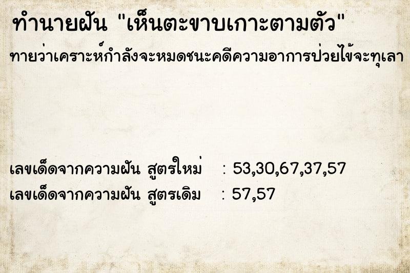 ทำนายฝันทำนายฝันเห็นตะขาบเกาะตามตัว