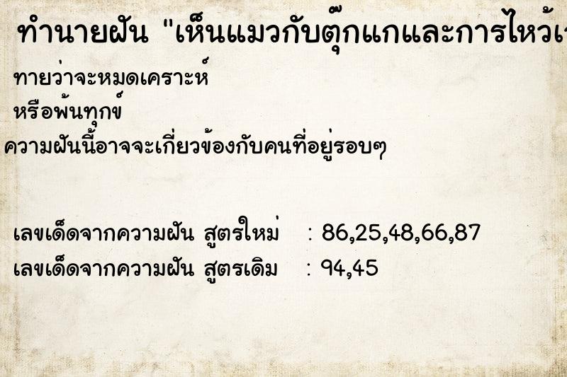 ทำนายฝันทำนายฝันเห็นแมวกับตุ๊กแกและการไหว้เจ้า