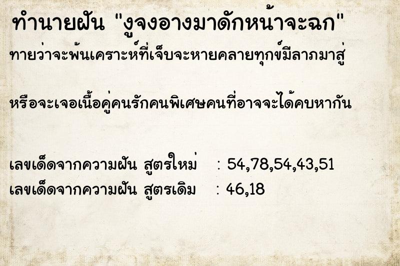 ทำนายฝันทำนายฝันงูจงอางมาดักหน้าจะฉก