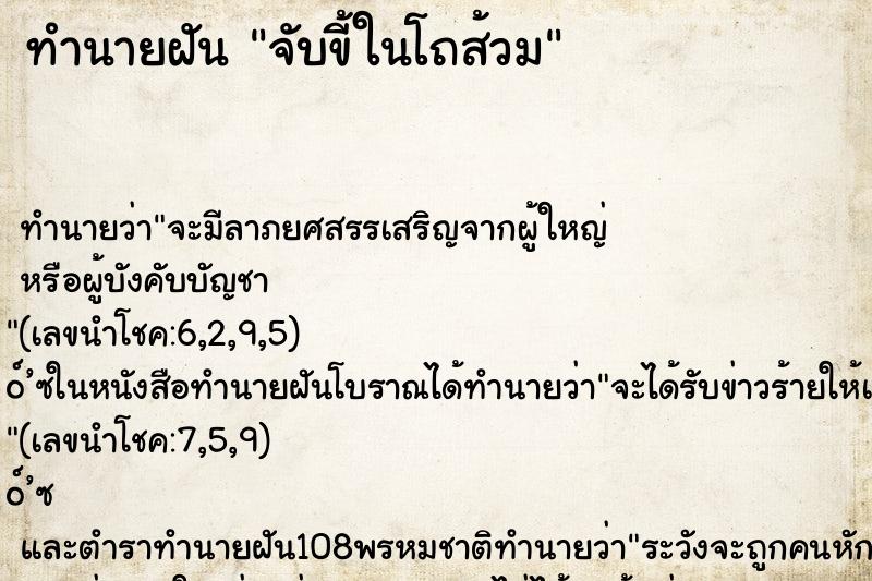 ทำนายฝัน จับขี้ในโถส้วม ทำนายฝัน จับขี้ในโถส้วม