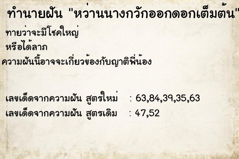 ทำนายฝันหว่านนางกวักออกดอกเต็มต้น ทำนายฝันทำนายฝันหว่านนางกวักออกดอกเต็มต้น