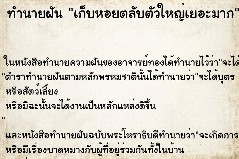 ทำนายฝันทำนายฝันเก็บหอยตลับตัวใหญ่เยอะมาก